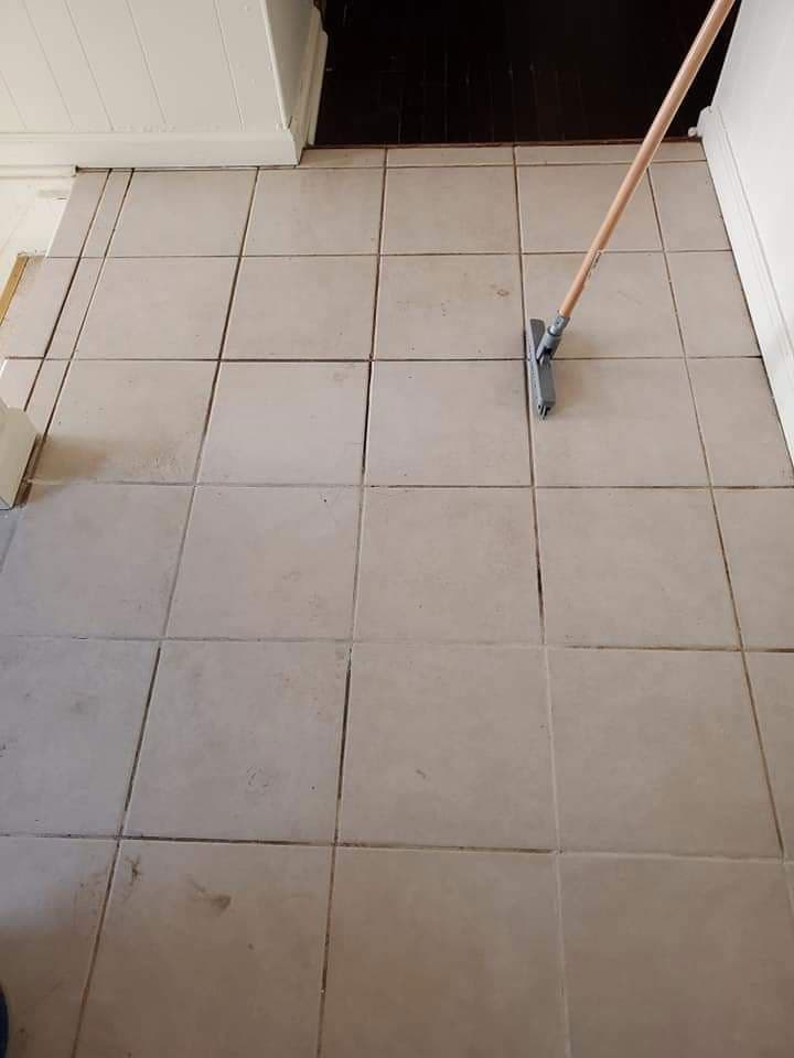 Bright and clean carpet in living room