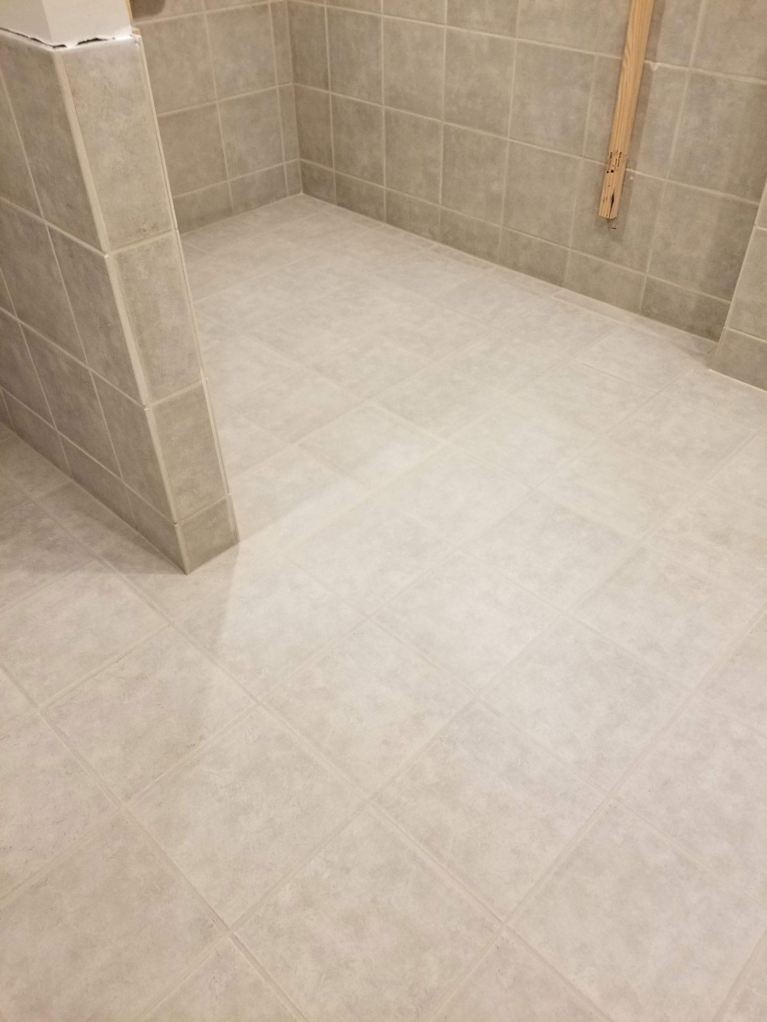 Clean living space with freshly cleaned carpets