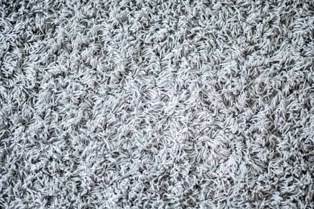 Spotless and freshly cleaned carpet close-up