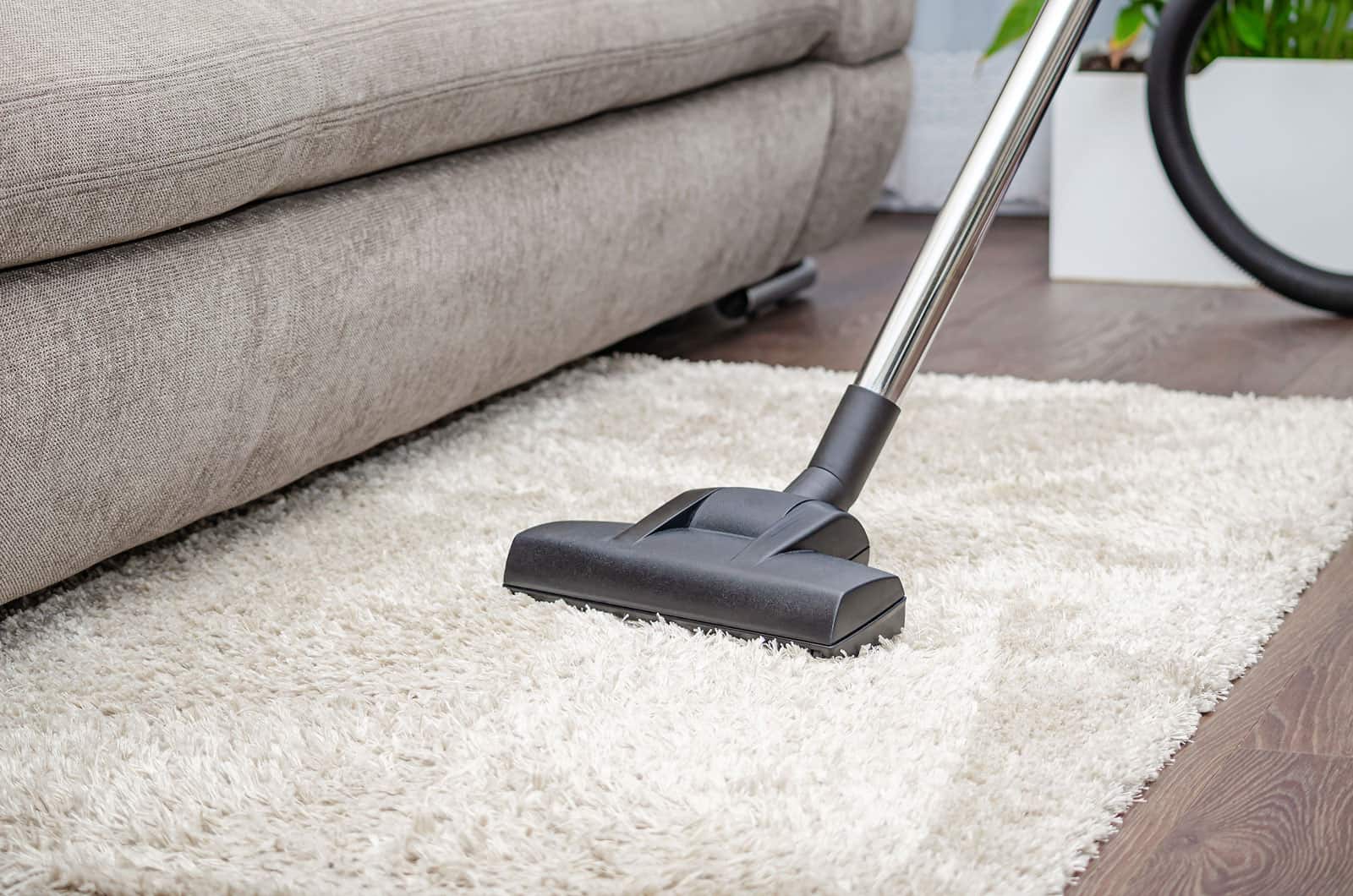 Cleaning equipment working on carpet fibers