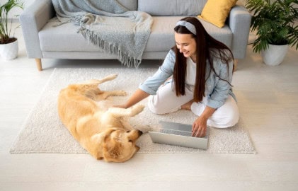 pet safe carpet cleaning
