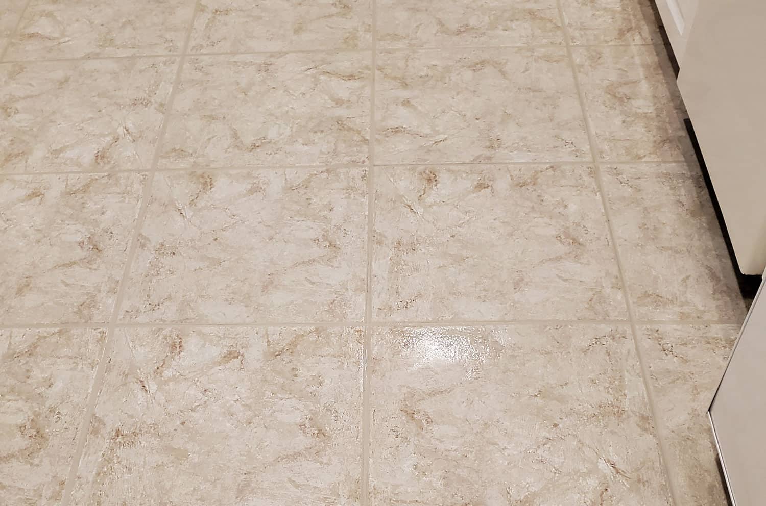 Tile grout color sealing completed